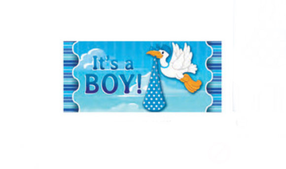 It's A Boy Sassafras Insert