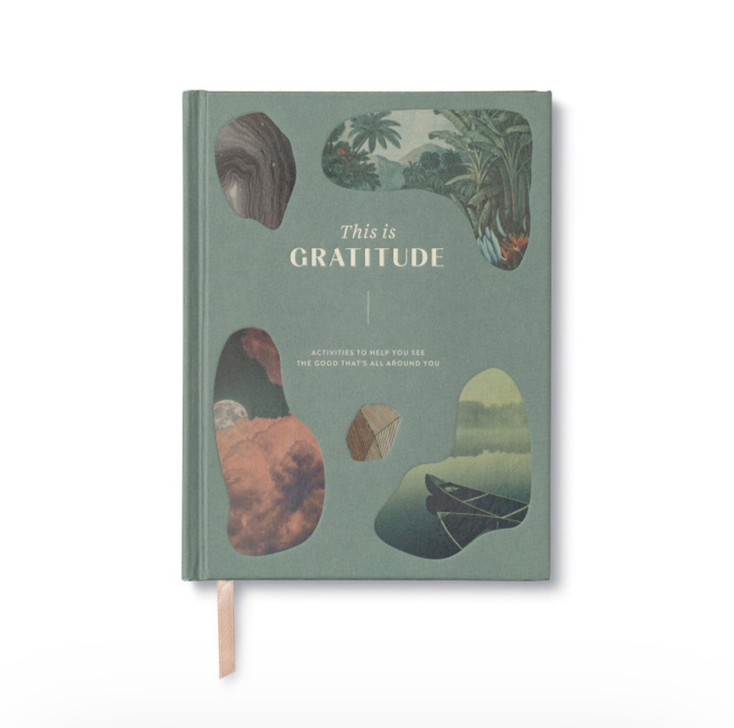 This Is Gratitude Journal