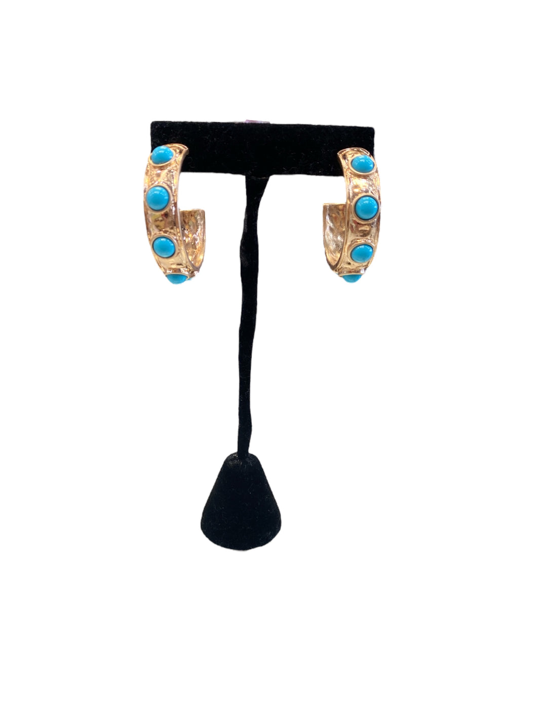 Pit Turquoise Earrings