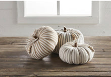 Load image into Gallery viewer, Ticking Stripe Pumpkin
